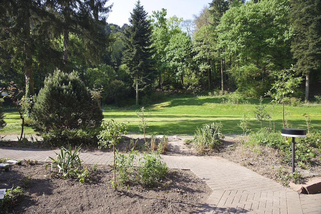 Hotel Luisenpark Bad Bergzabern Eksteriør billede
